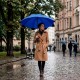 Парасоля-тростина напівавтоматична Line Art Blantier, із захисними наконечниками темно-синій/чорний - 45400-44 Парасоля-тростина напівавтоматична Line Art Blantier, із захисними наконечниками темно-синій/чорний - 45400-44