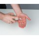 Гель для дезінфекції рук із дозатором прозорий - 5888766