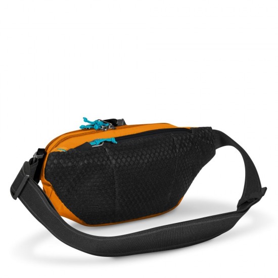 Сумка на пояс антизлодій Pacsafe Eco Anti-Theft Waist Pack теракотовий/чорний - 41104231