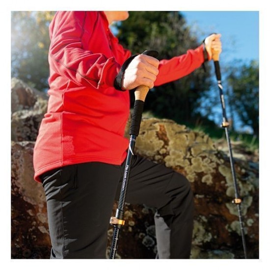 Трекінгові палиці Schwarzwolf Denali чорний - F4800400AJ3