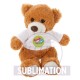 Іграшка плюшева Voyager ведмедик коричневий - HE673-16