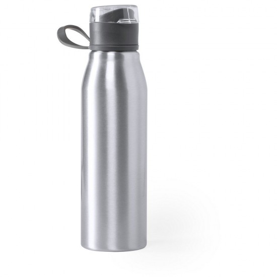 Пляшка для води з карабіном, нержавіюча сталь, 700 мл сріблястий - V0869-32