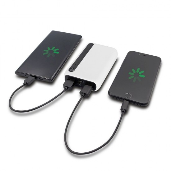 Повербанк 10000 mAh Voyager Dashonte, світлодіодний індикатор білий - V1296-02